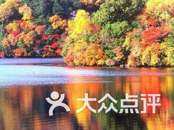 熊出没夺宝历险